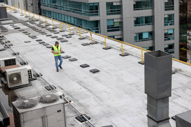 Best Roof Moss and Algae Removal  in Healdsburg, CA