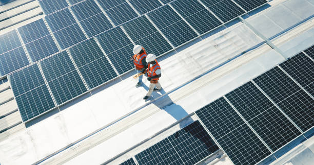 Best Roof Moss and Algae Removal  in Healdsburg, CA