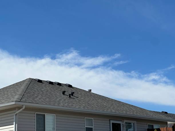 Best Sheet Metal Roofing  in Healdsburg, CA